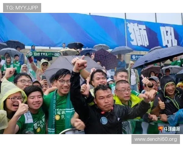 斗球体育直播电脑版下载安装及安装后设置指南，确保用户享受高清直播体验